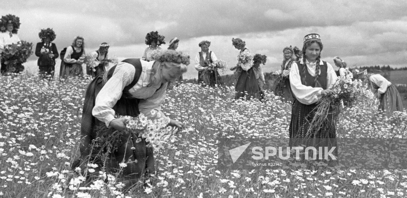 MIDSUMMER GIRLS WILD FLOWERS