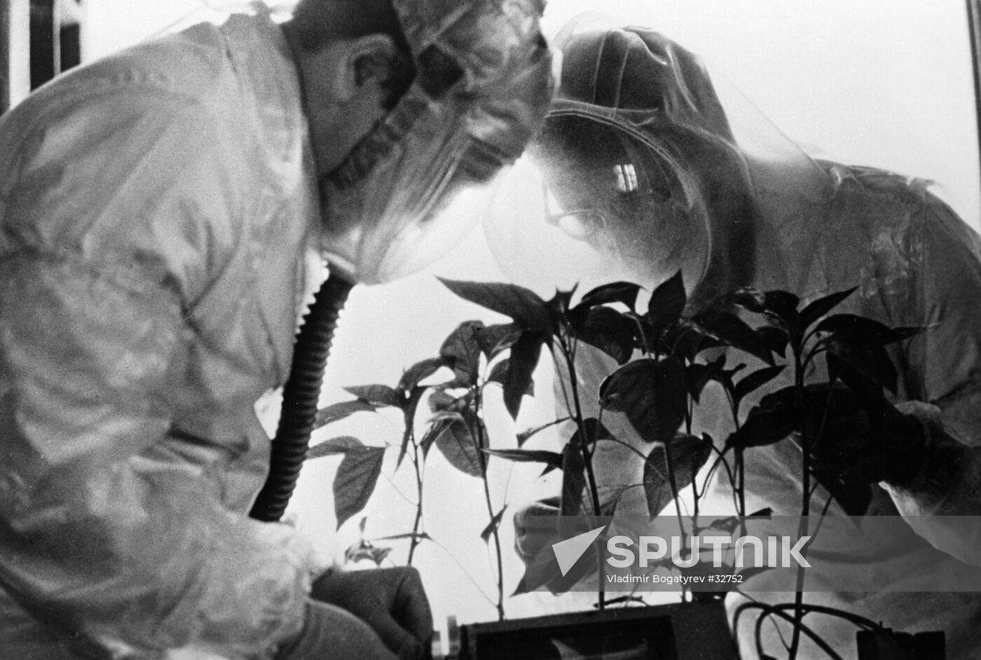 RESEARCH FELLOWS STUDIES PLANTS ISOTOPES