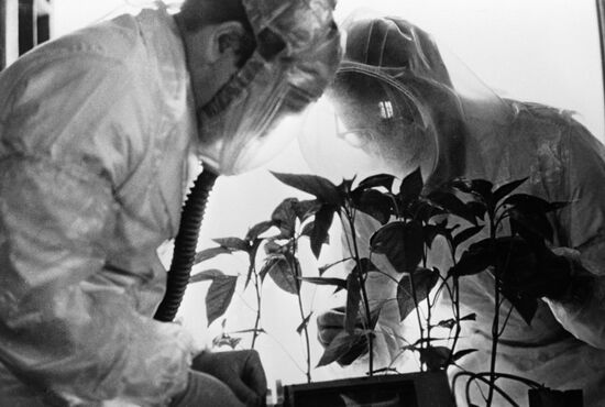 RESEARCH FELLOWS STUDIES PLANTS ISOTOPES