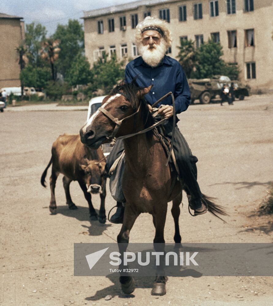 REFUGEE HORSE 