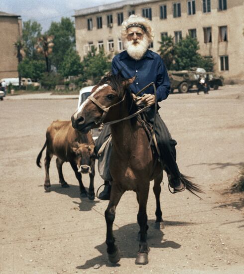 REFUGEE HORSE 