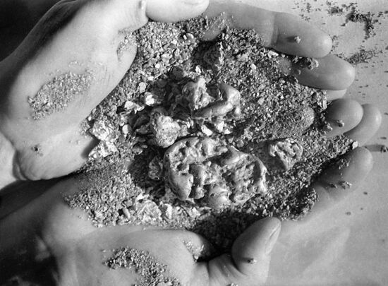 GOLD CHUKOTKA