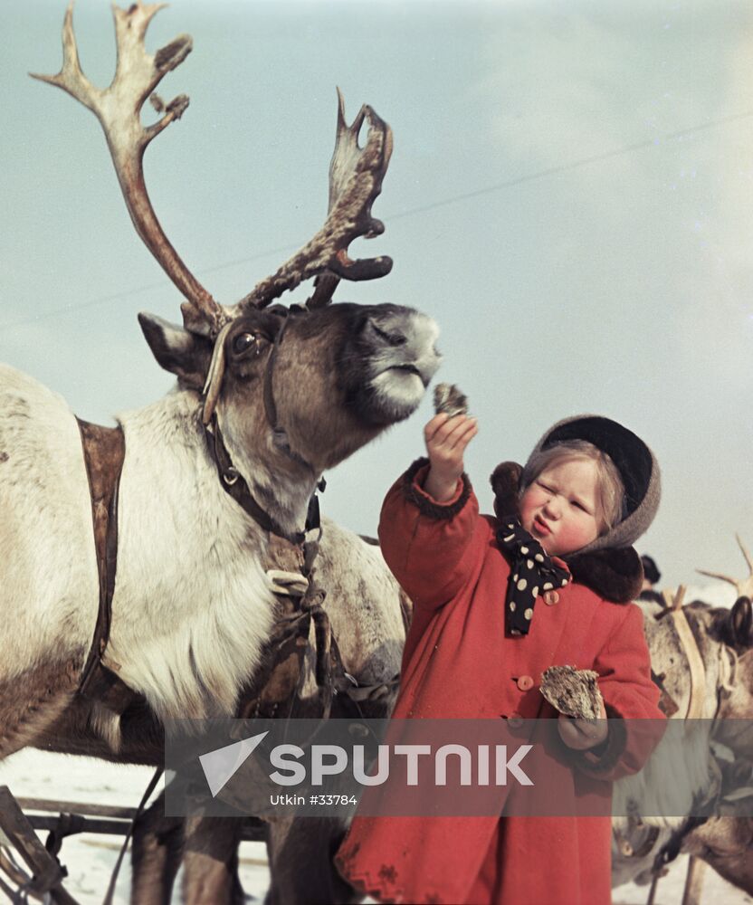 CHUKOTKA GIRL DEER SLED BREAD