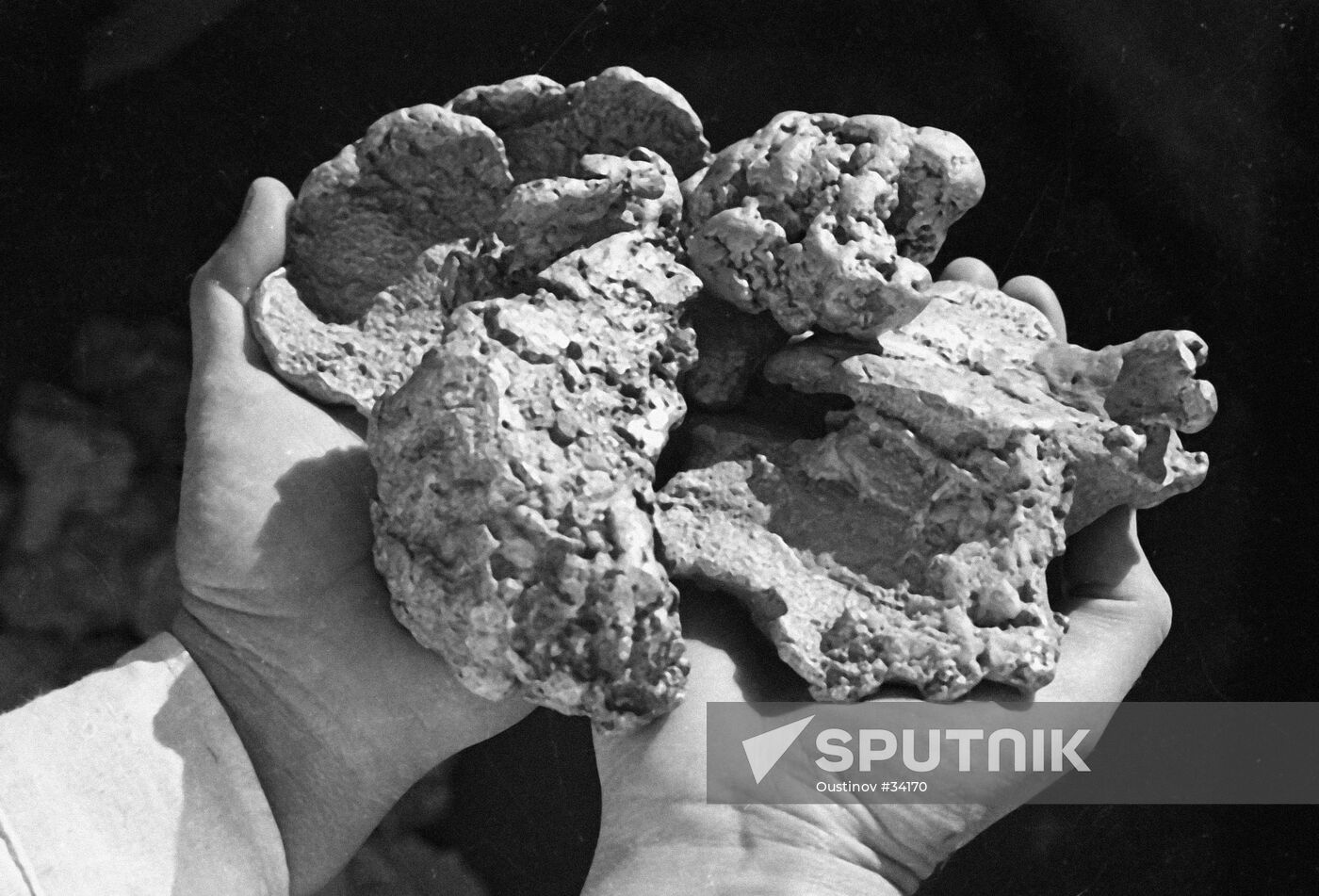 GOLD NUGGET