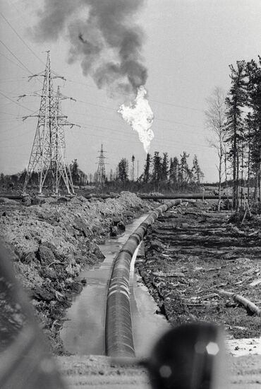 OIL SAMOTLOR GAS FLAME