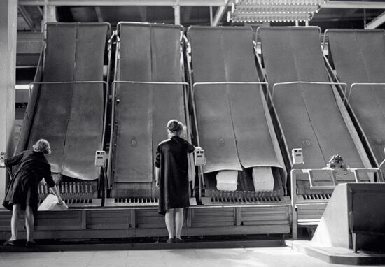 PARCELS SORTING LINE WORKERS