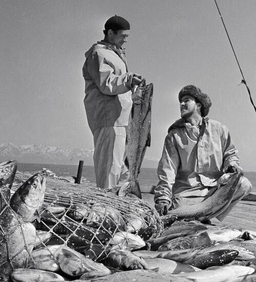 KAMCHATKA FISHERMEN CATCH SILVER SALMON