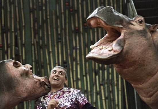ANIMAL TRAINER HIPPOS PERFORMANCE