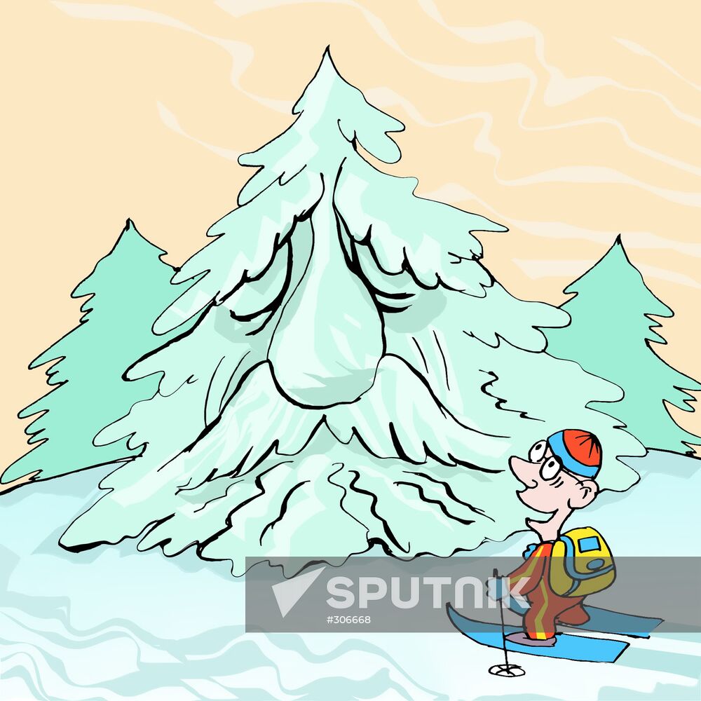 Swedish spruce is 7,890 years old