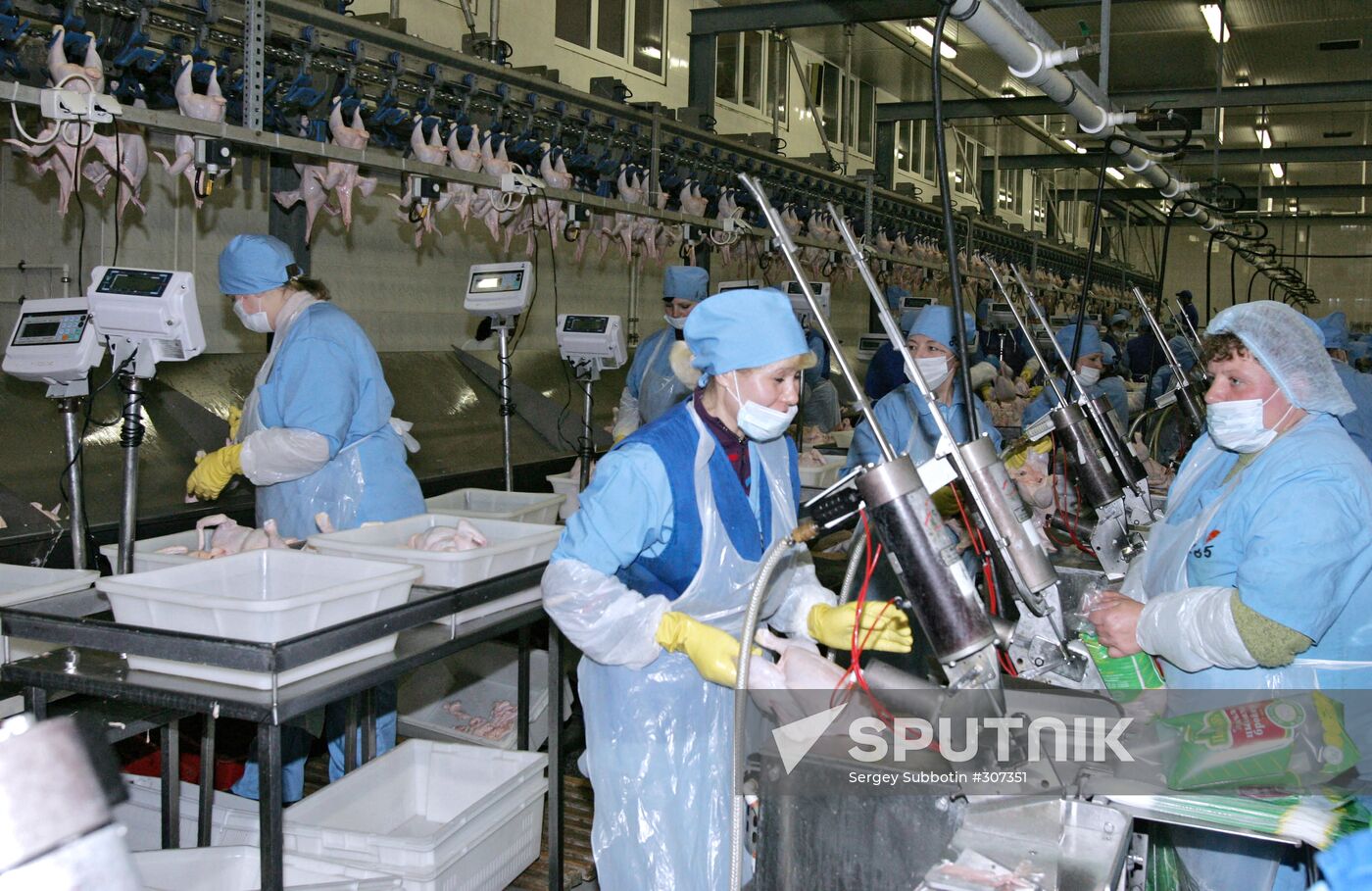 Poultry farm Belgorod