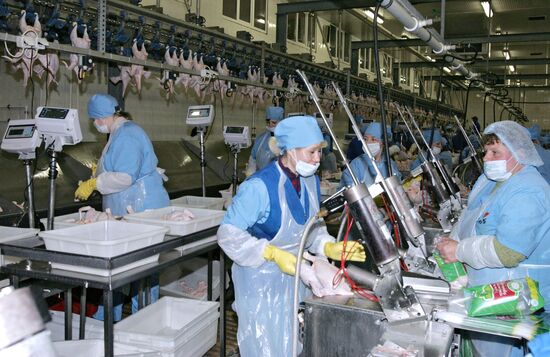 Poultry farm Belgorod