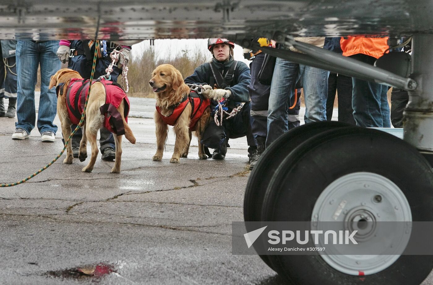 Emergency Situations Ministry units training in the North-Western Federal District