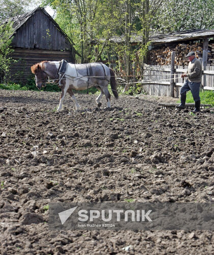 Spring field work