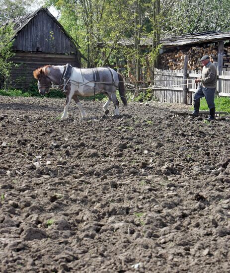 Spring field work