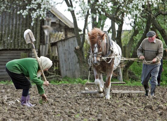 Spring field work