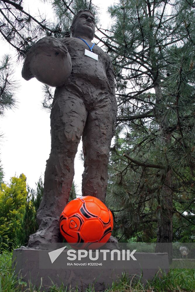 Gus Hiddink football coach statue