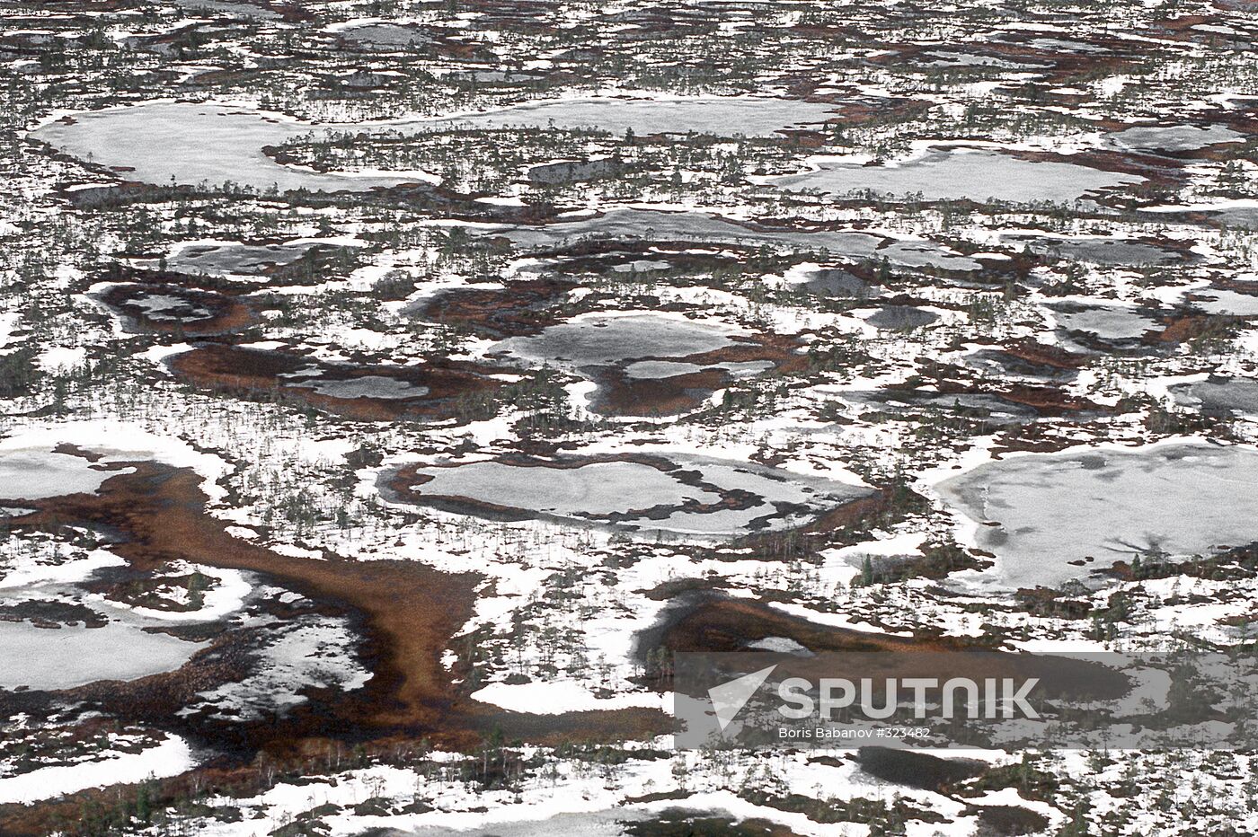 Tundra in the Tyumen Region