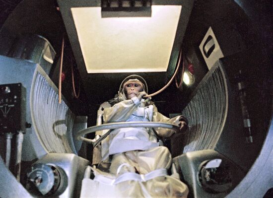 Film "I Was a Sputnik of the Sun"