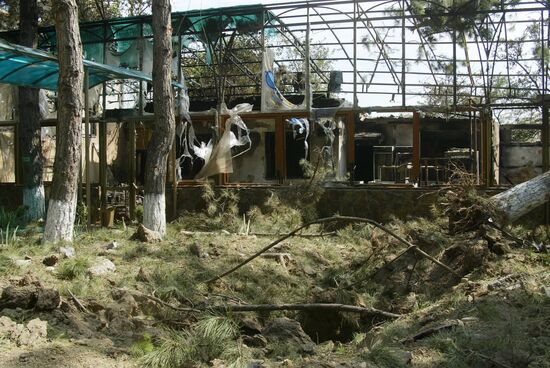 The devastated city of Tskhinvali