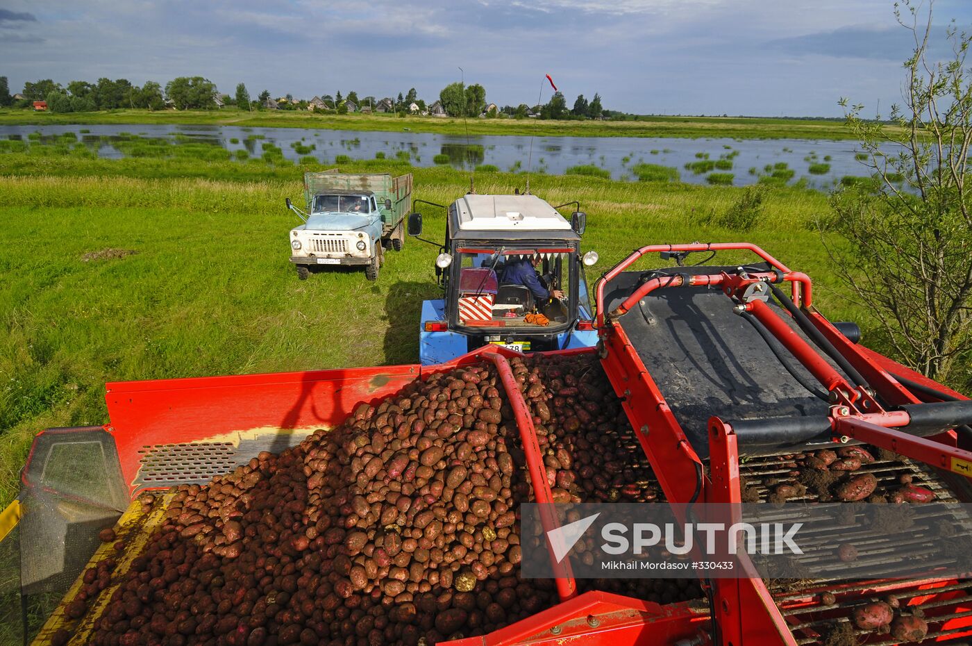 Grading potatoes at the Iskra collective farm