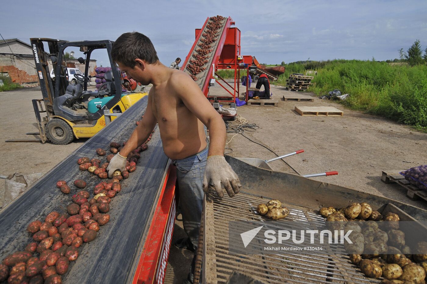 Grading potatoes at the Iskra collective farm