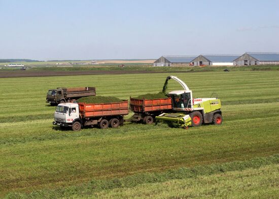 Fodder conservation
