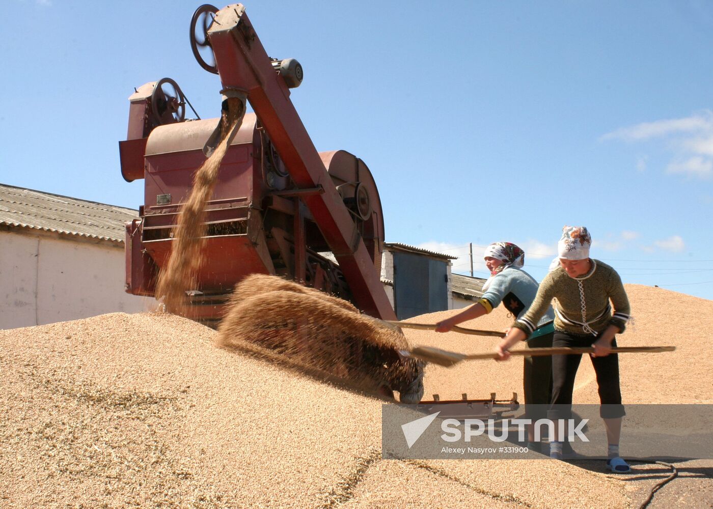Wheat harvesting