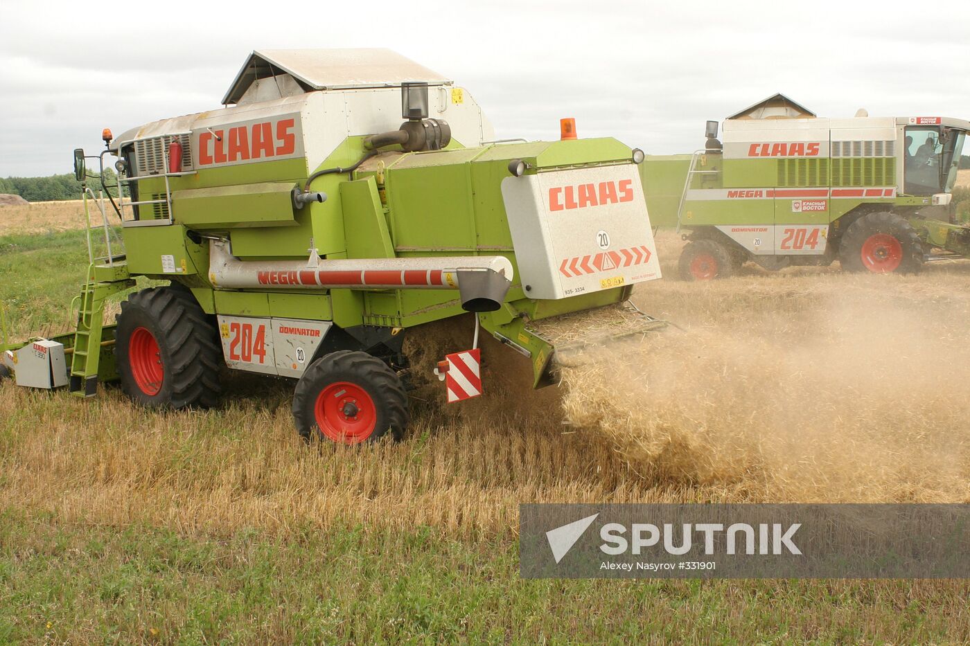 Wheat harvesting