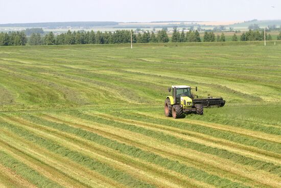 Fodder conservation