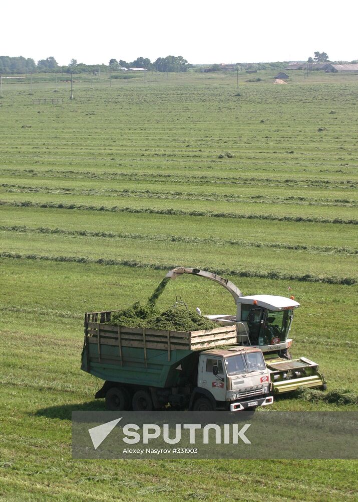 Fodder conservation