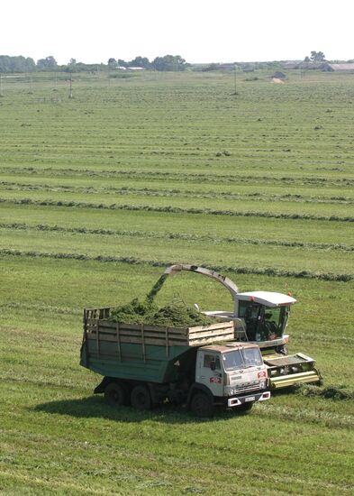 Fodder conservation
