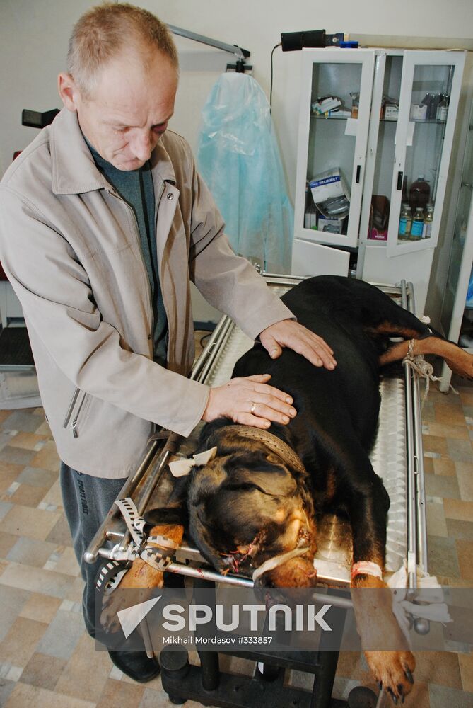 Veterinary clinic