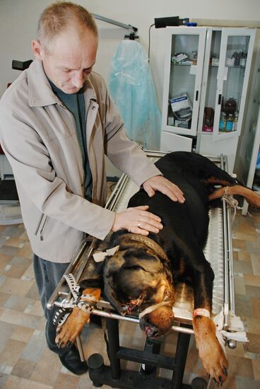 Veterinary clinic