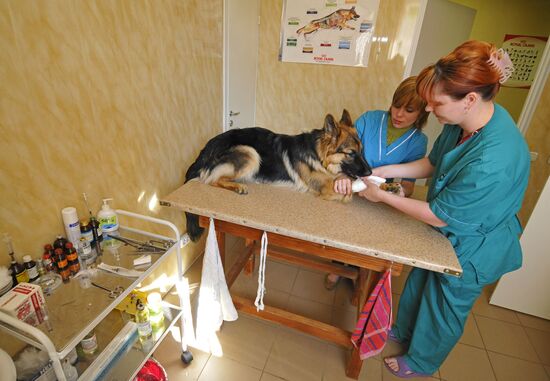 Veterinary clinic