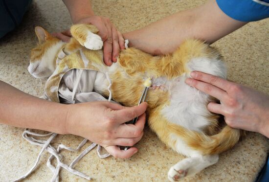 Veterinary clinic