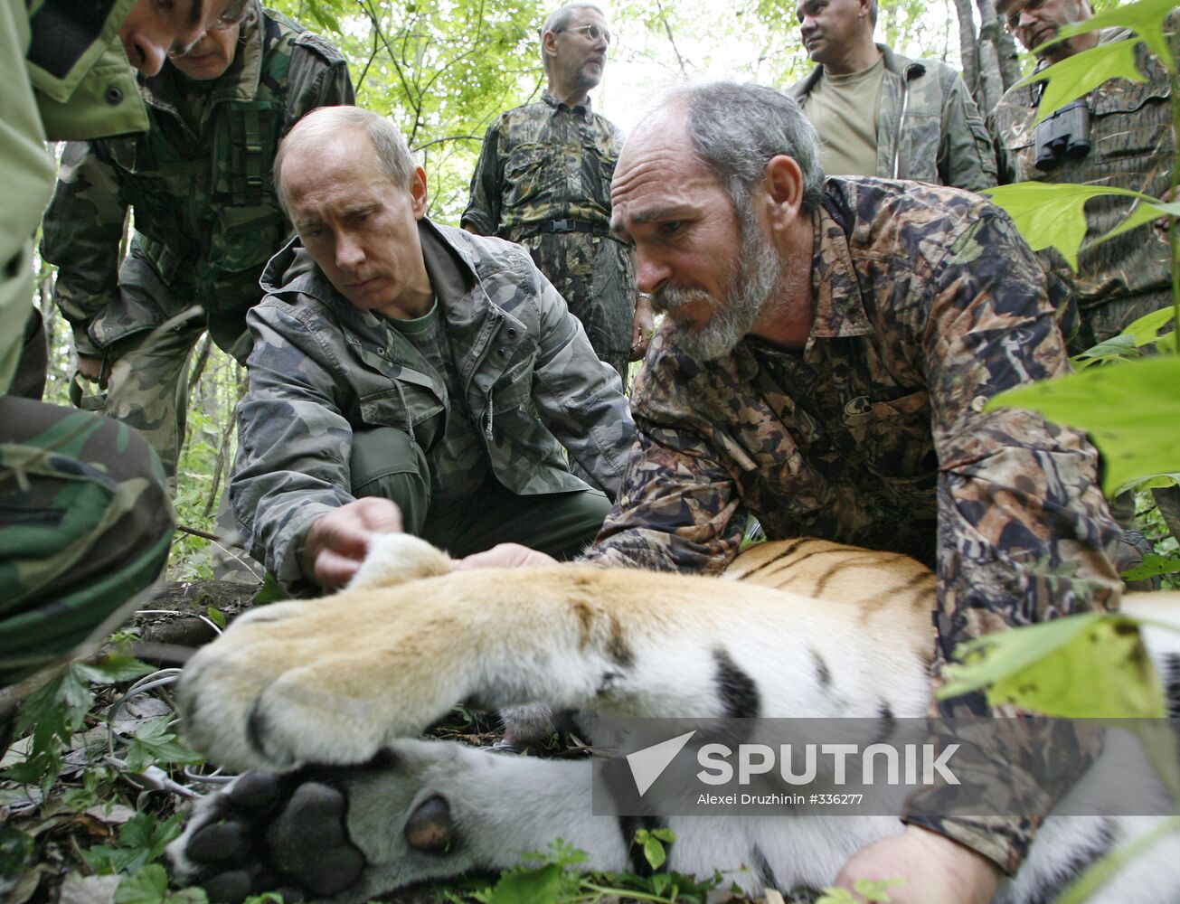 Russian Prime Minister Vladimir Putin visits Ussuri Reserve