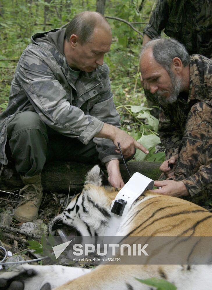 Russian Prime Minister Vladimir Putin visits Ussuri Reserve