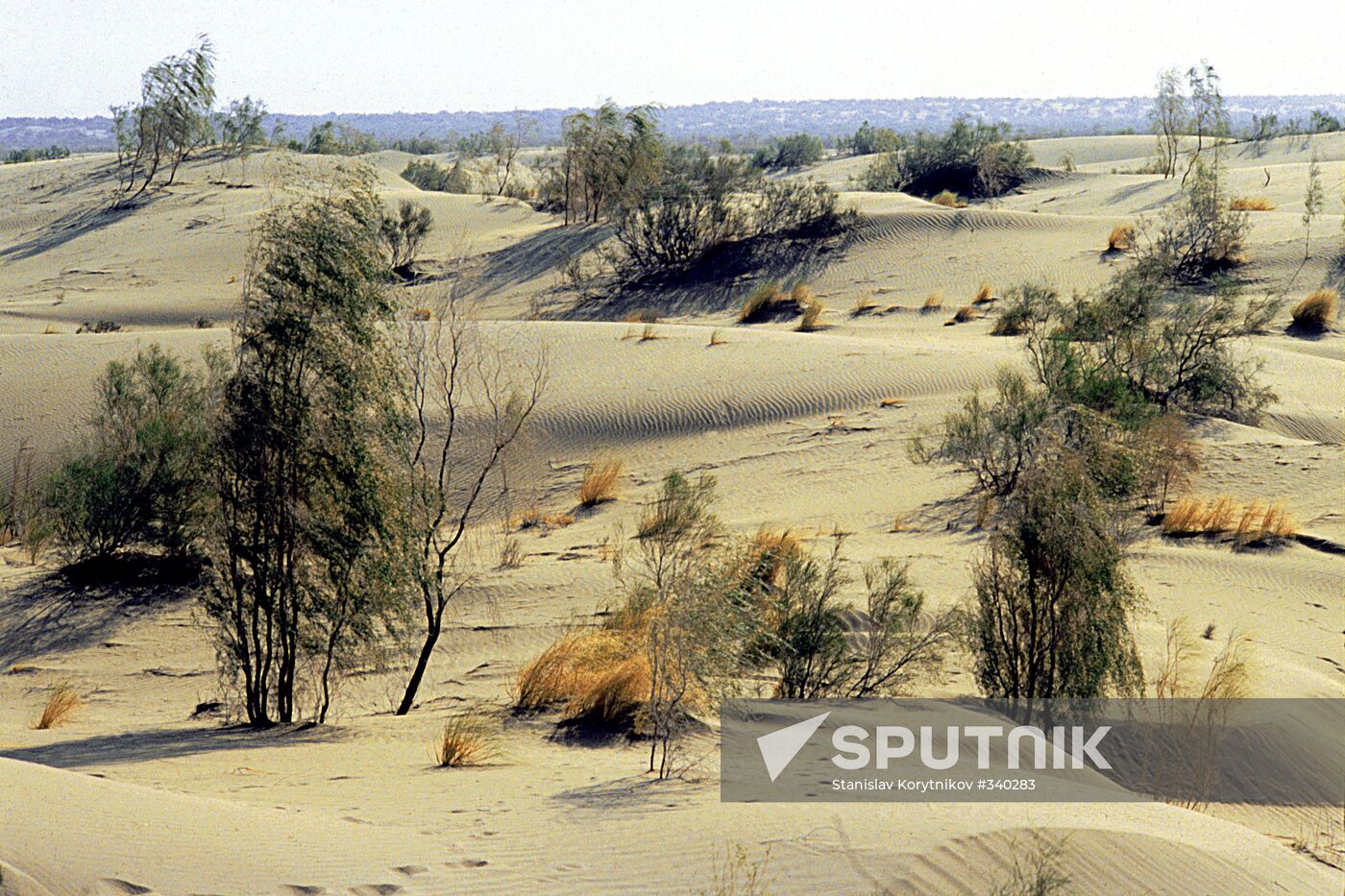 The Karakum desert in Turkmenistan