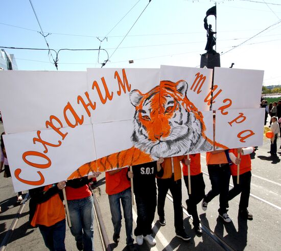 Tiger Day in Vladivostok