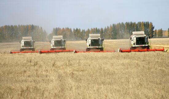 Harvesting campaign