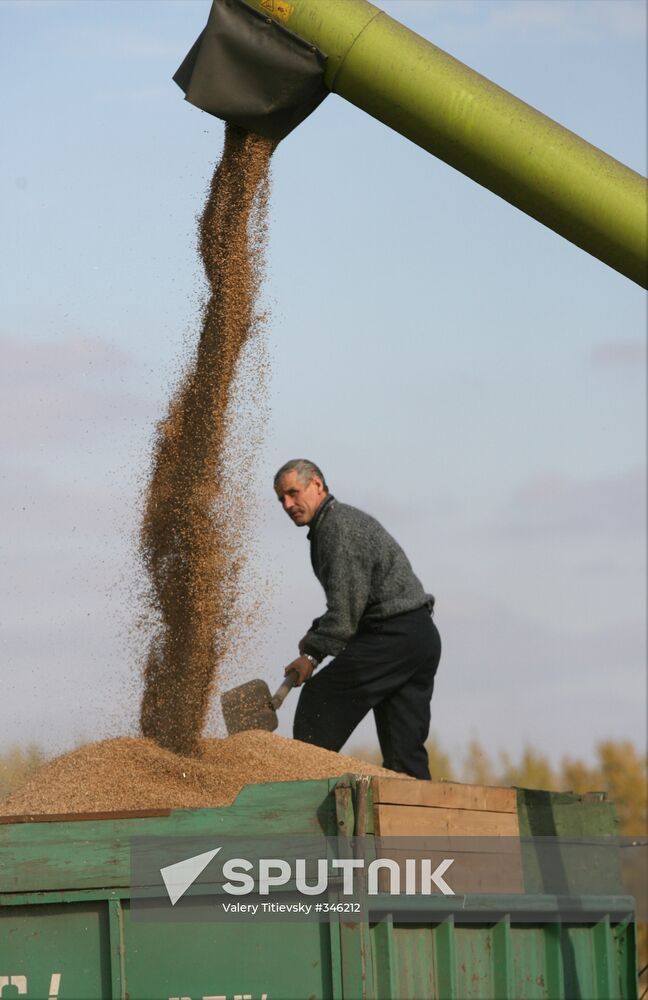 Harvesting campaign