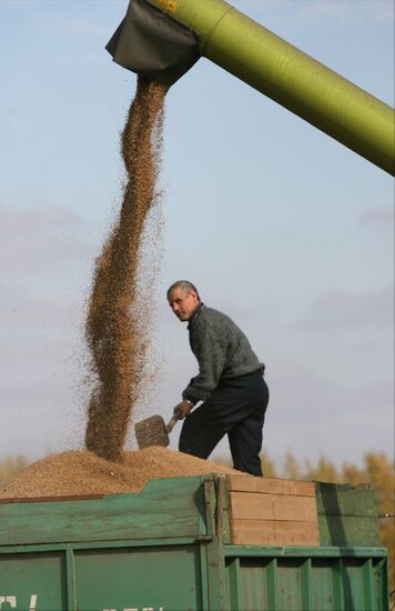 Harvesting campaign