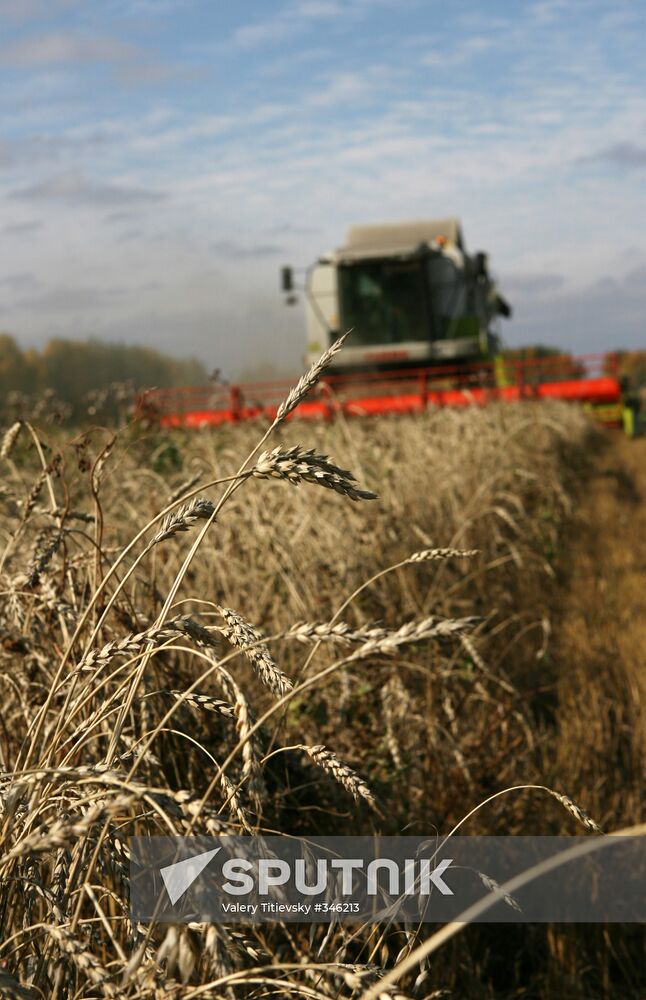 Harvesting campaign