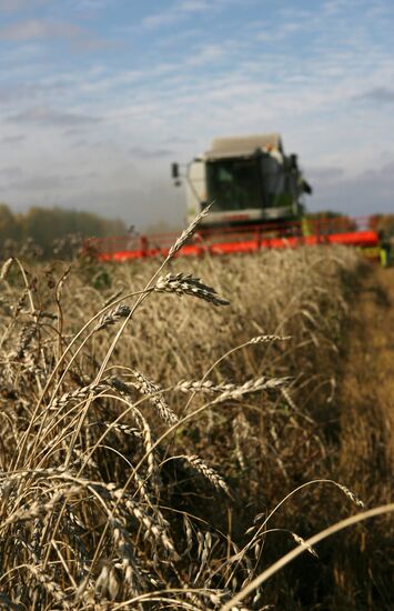 Harvesting campaign