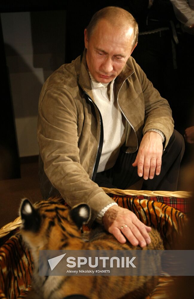 Vladimir Putin presented tiger cub to journalists