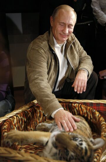 Vladimir Putin presented tiger cub to journalists