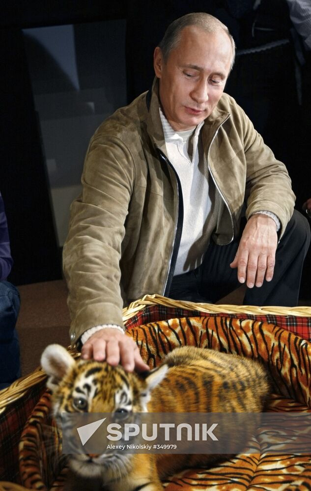 Vladimir Putin presented tiger cub to journalists