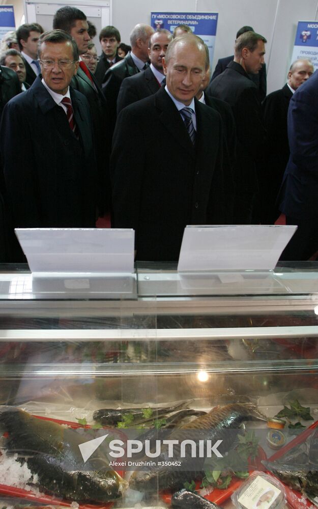 Putin visits agricultural exhibition Golden Fall