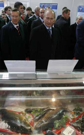 Putin visits agricultural exhibition Golden Fall