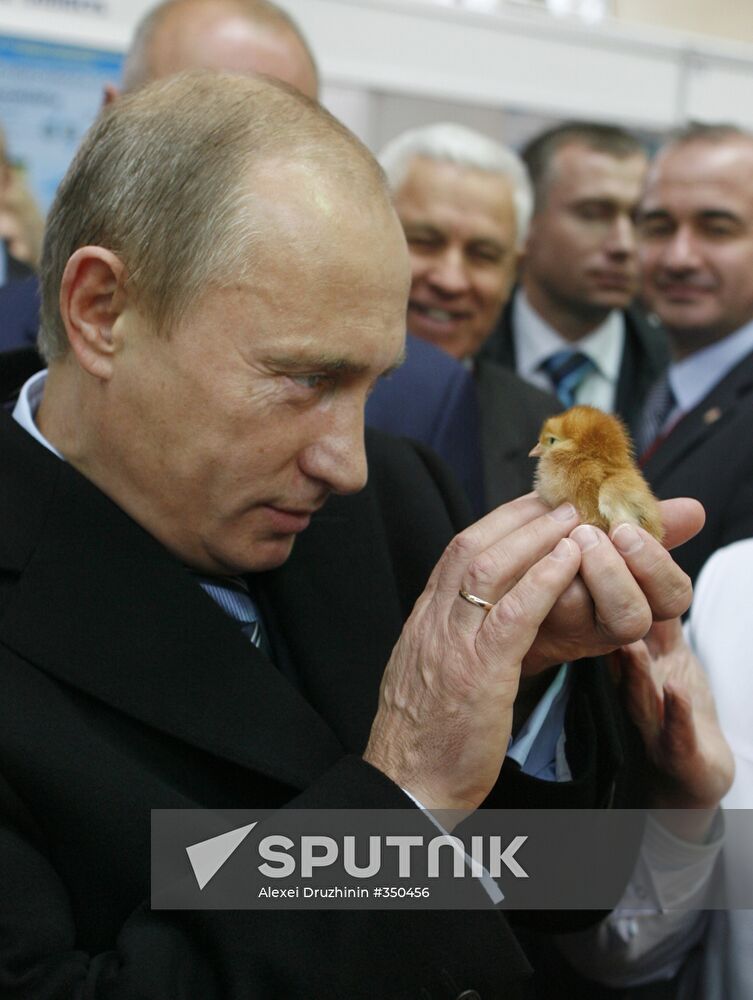 Putin visits agricultural exhibition Golden Fall